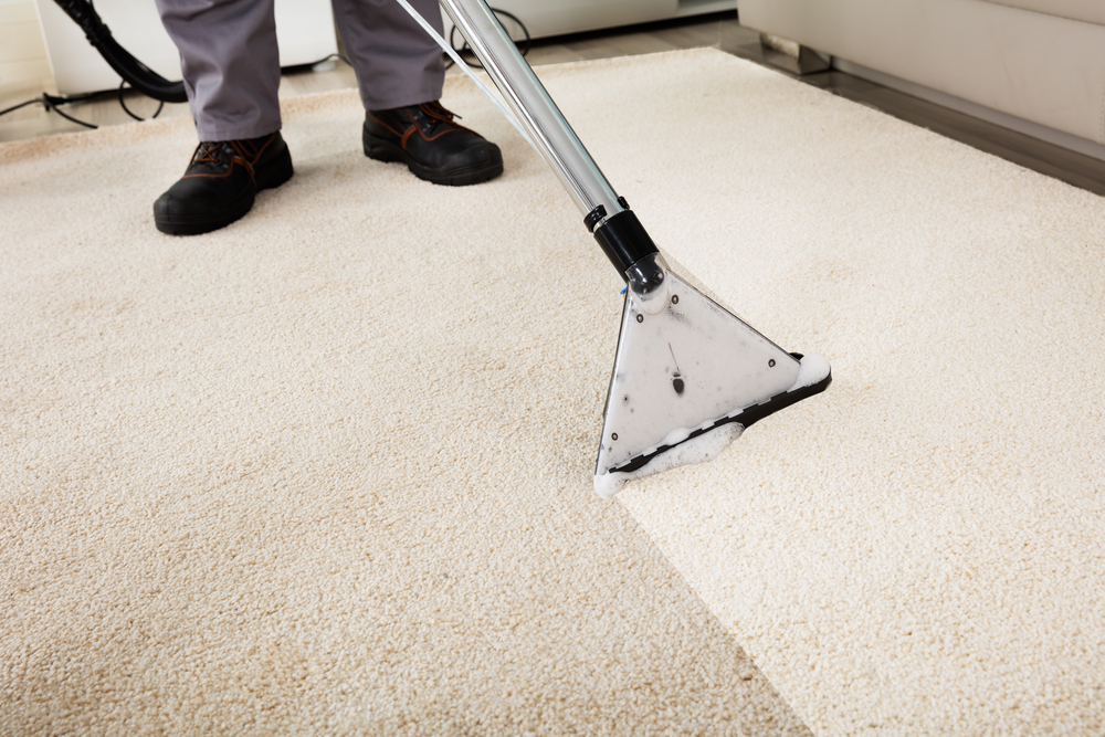 Does Carpet Steam Cleaning Remove Stains