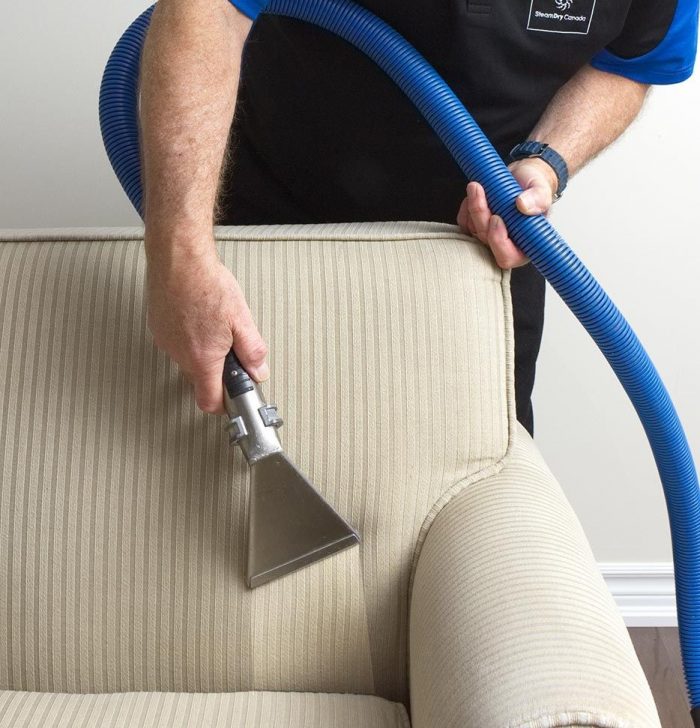 upholstery couch sofa lounge suite cleaning